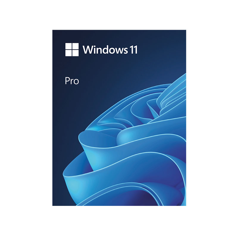 Microsoft Windows 11 Pro 64Bit Operating System (FPP)