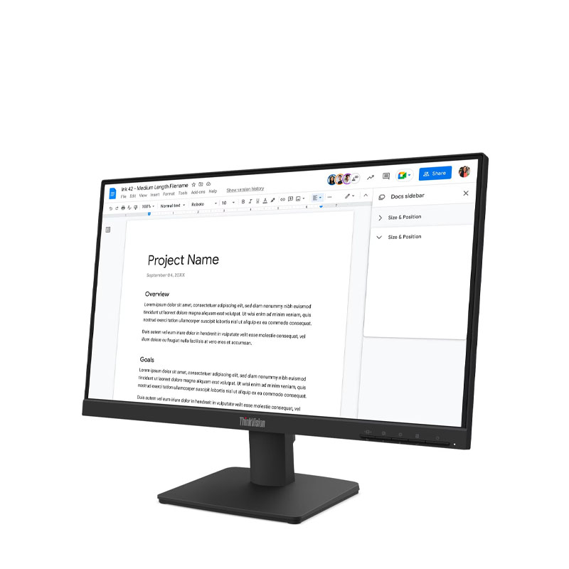 Lenovo ThinkVision S22-4e 21.5" Monitor